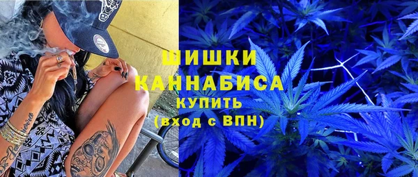 гашик Верея