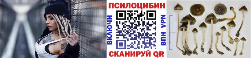 Галлюциногенные грибы GOLDEN TEACHER Купить закладки Удомля