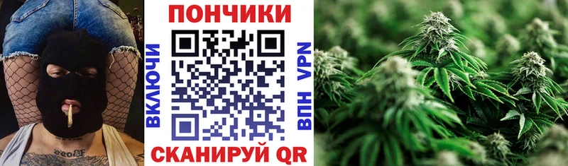 Каннабис OG Kush Удомля